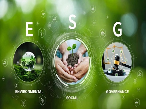 ESG Audit Project
